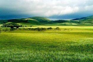 青草原国产,探寻神秘草原帝国的历史足迹